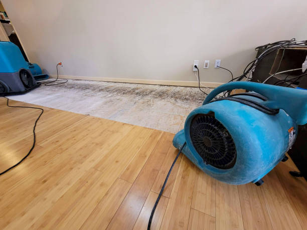 Professional Emergency Water Damage technician working in Arivaca, AZ